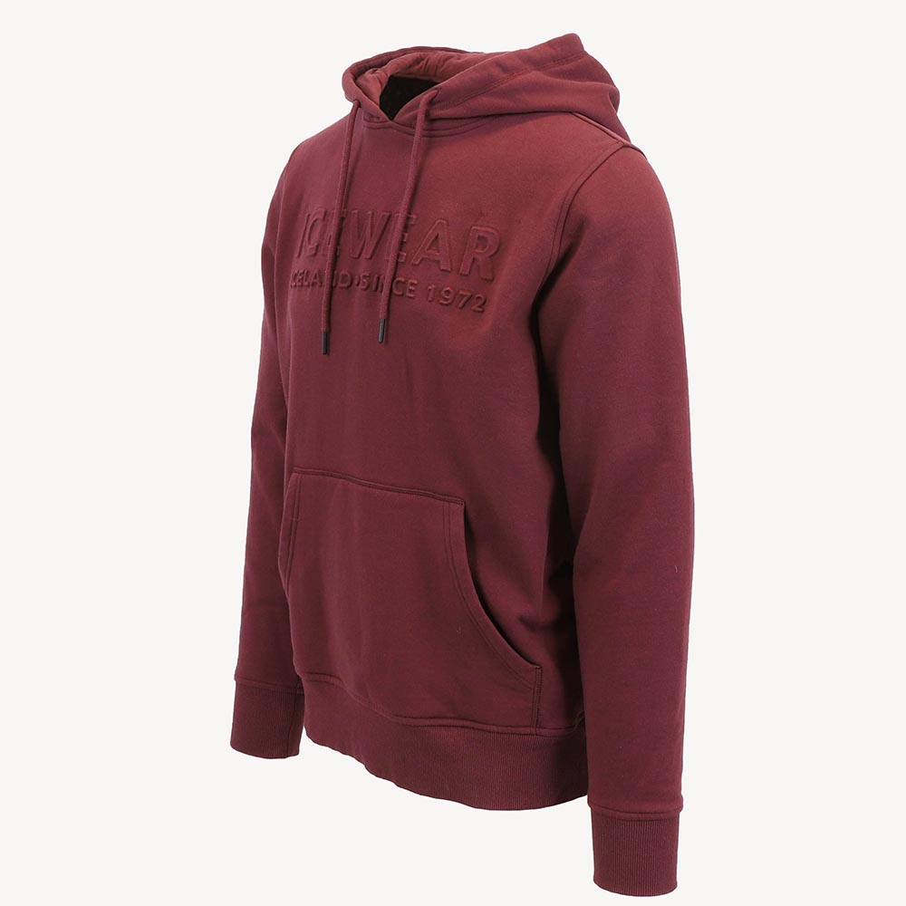 Jökull hooded sweatshirt