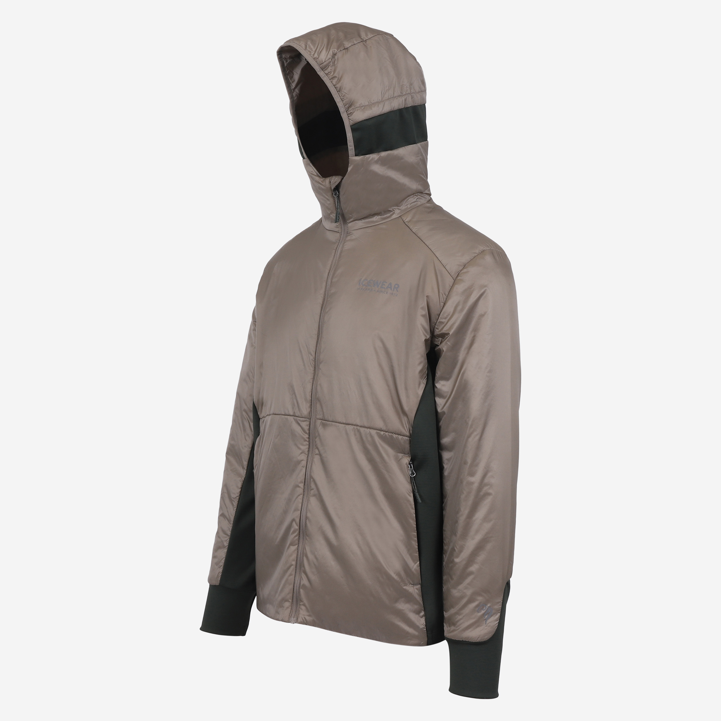 Veste à capuche Black sheep en laine islandaise 