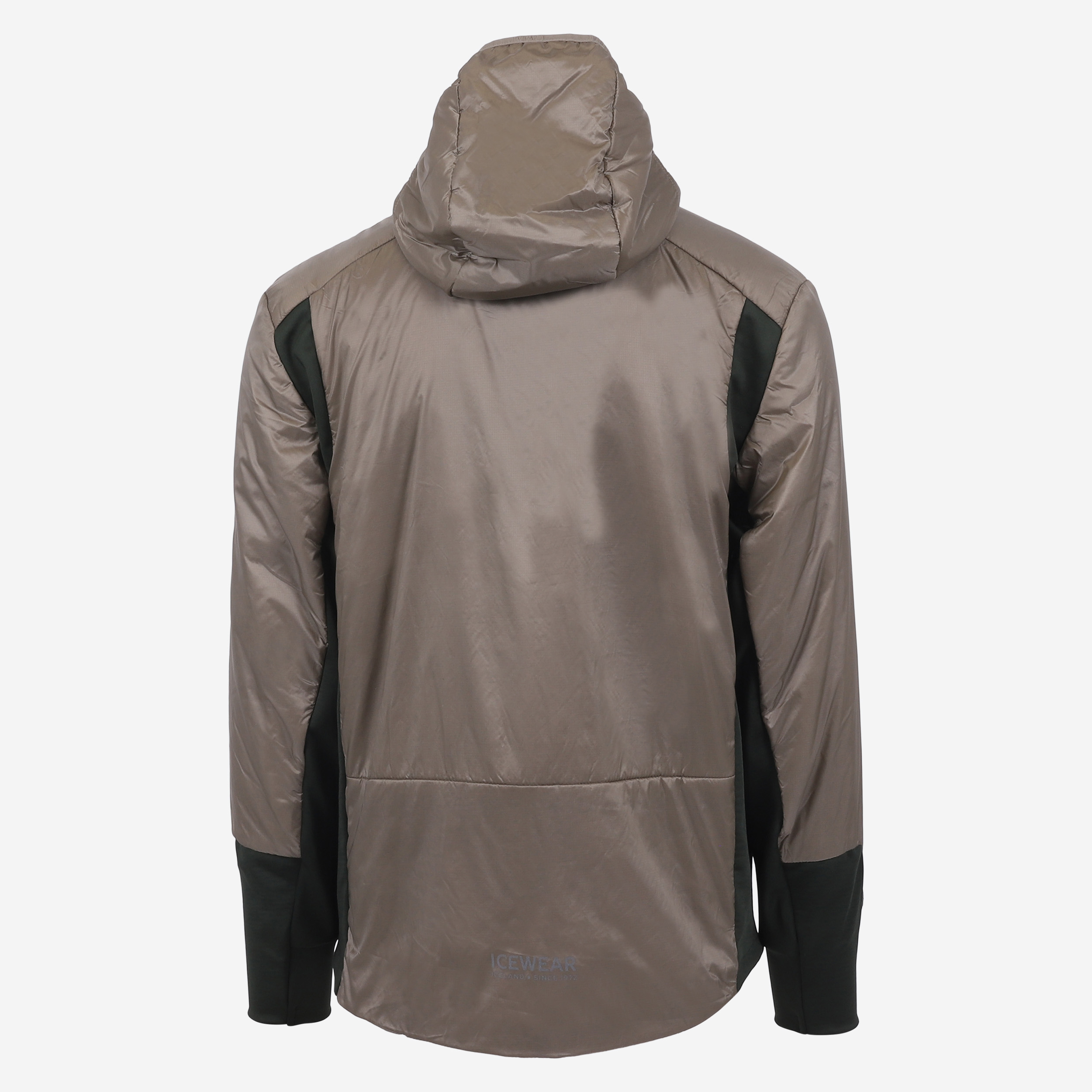 Veste à capuche Black sheep en laine islandaise 